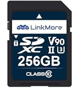 Amazon.com: LinkMore XE200 1TB PCIe Gen3 NVMe M.2 2280 Internal